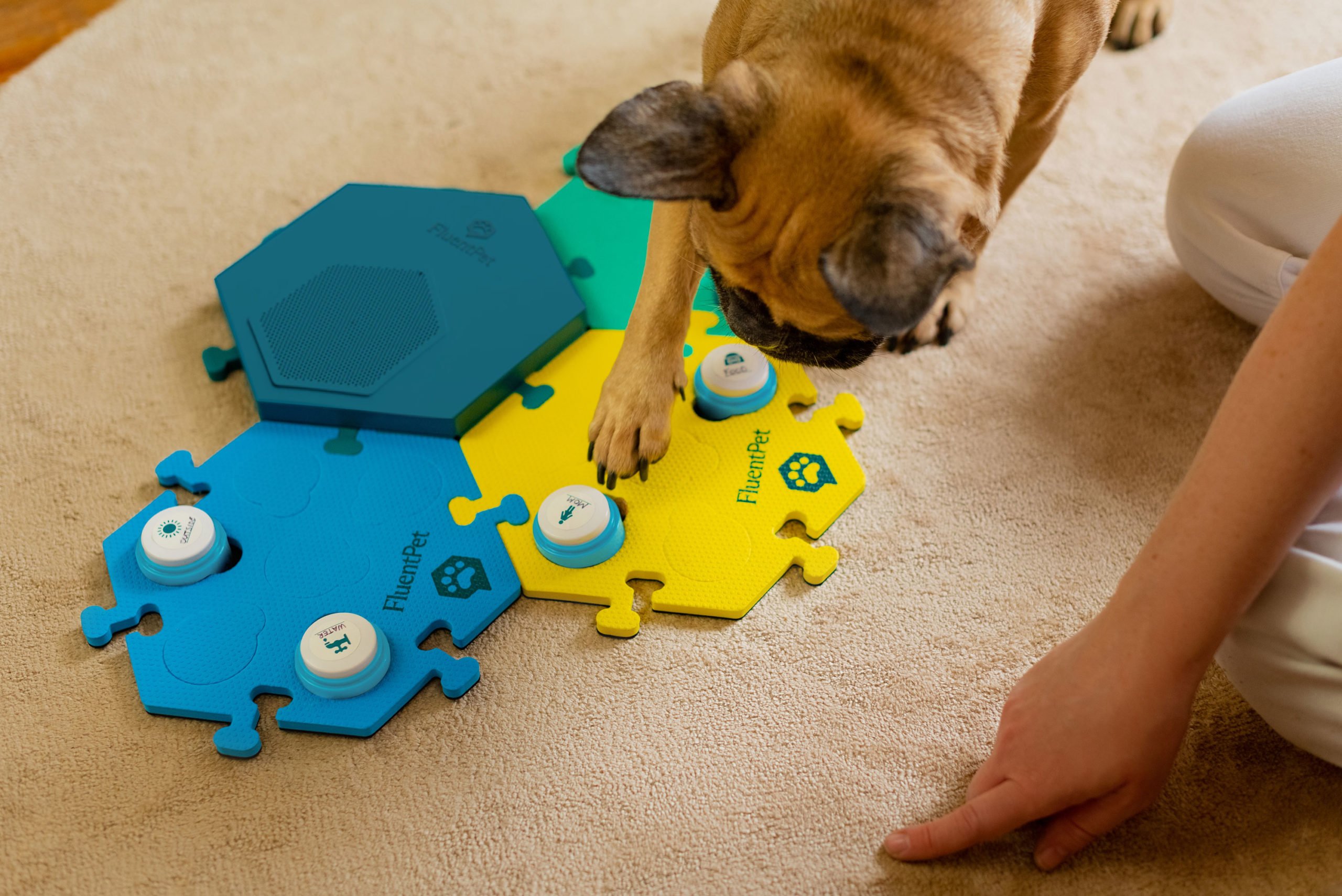 Futuristic, environmentally friendly gadgets and robots to turn your living space into a smart home